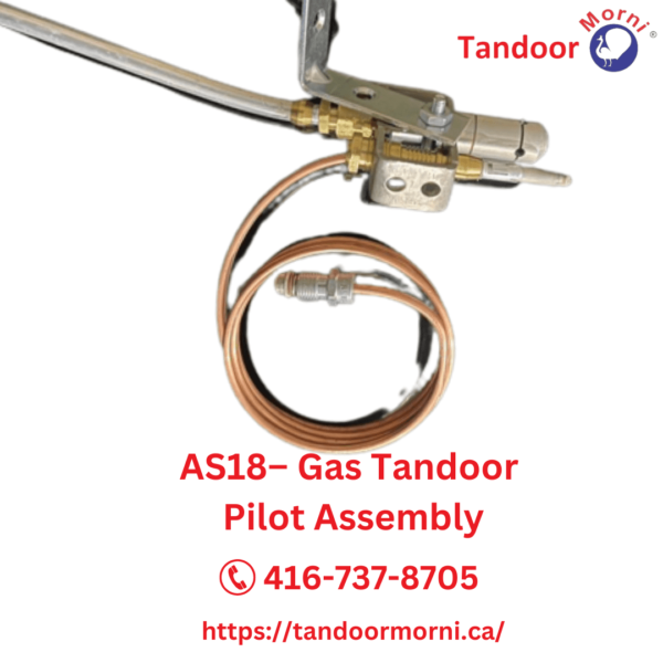 Close-up of the AS18 gas tandoor pilot assembly